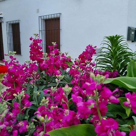 Casa Francisca En El Casco Antiguo Villa Vejer de la Frontera Bagian luar foto