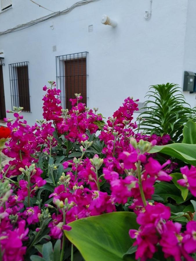 Casa Francisca En El Casco Antiguo Villa Vejer de la Frontera Bagian luar foto